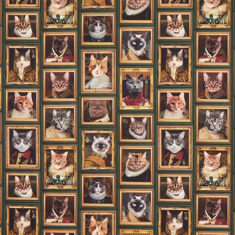 151030-1469 Half Panama Cats