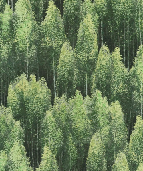 23167-44 Nature odyssey Robert Kaufman