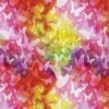 21240501-01 Rainbow Dream Butterfly