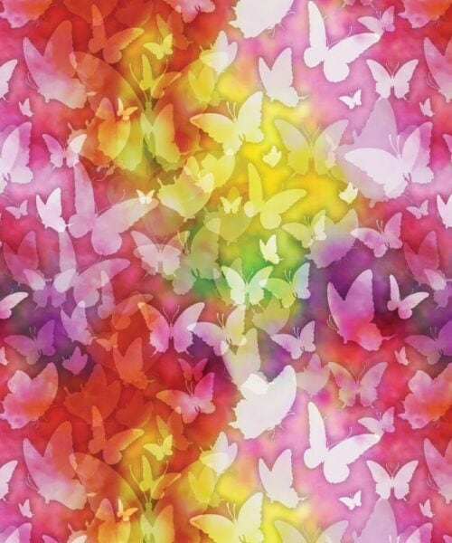 21240501-01 Rainbow Dream Butterfly