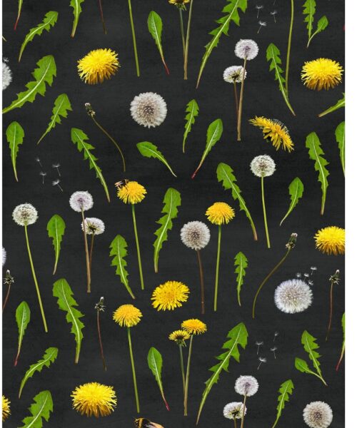 PaaPii eko jersey Dandelions Charcoal black