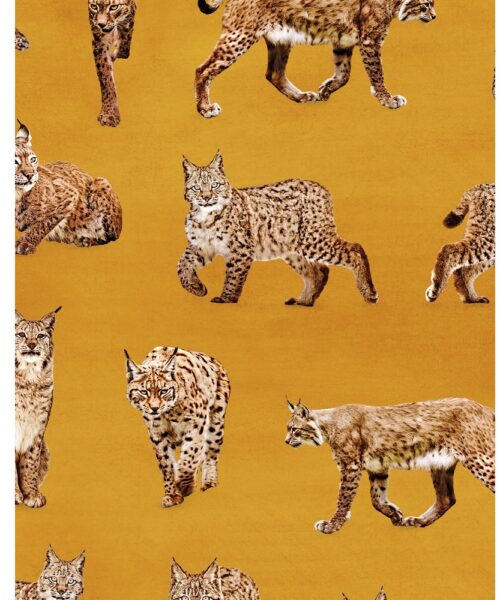 PaaPii eko sweatshirt lynxes amber ochre