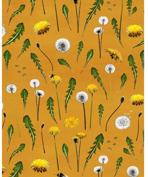 PaPii Digitaltryck Dandelions Amber jersey, ochre